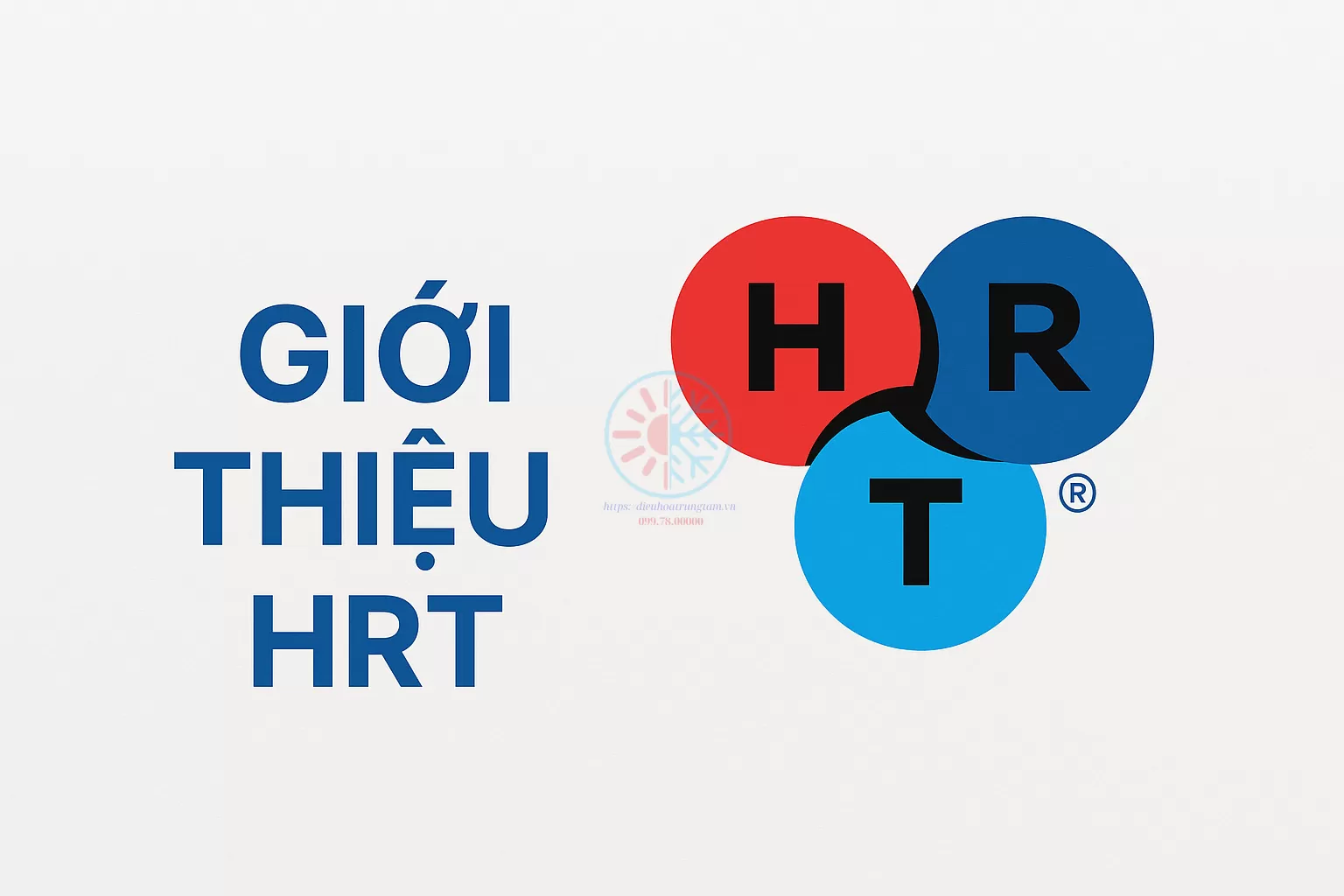 Giới Thiệu HRT JSC
